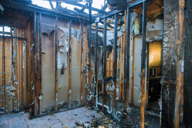Professional Fire Damage Removal technician working in East Meadow, NY